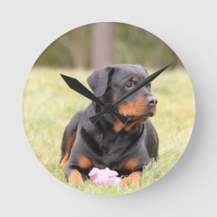 Reloj Redondo Mediano Rottweiler Dog