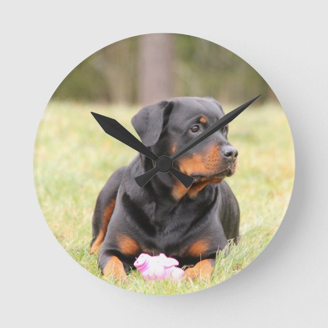 Reloj Redondo Mediano Rottweiler Dog (Anverso)