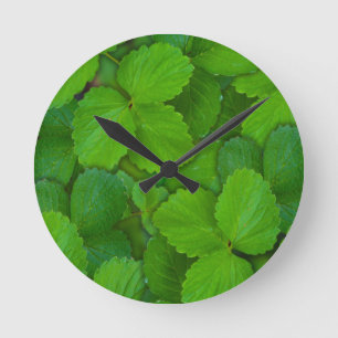 Reloj Redondo Mediano Sacro Basil Hojas de la Moneda Verde de Tulsi