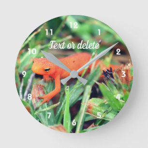 Reloj Redondo Mediano Salamandra naranja Red Eft personalizada de la nat