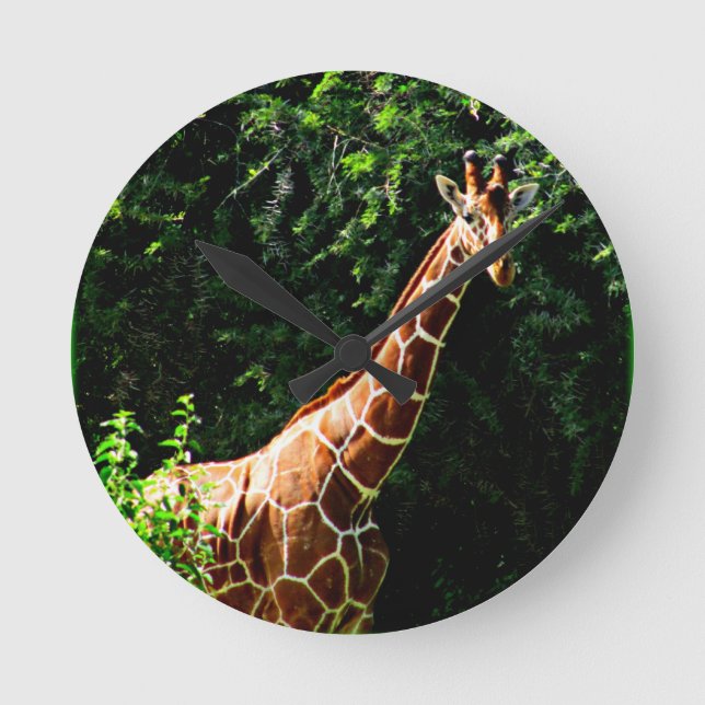 Reloj Redondo Mediano Samburu Giraffe (Anverso)