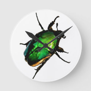 Reloj Redondo Mediano Scarab Beetle