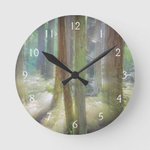 Reloj Redondo Mediano Scenic Beach State Park