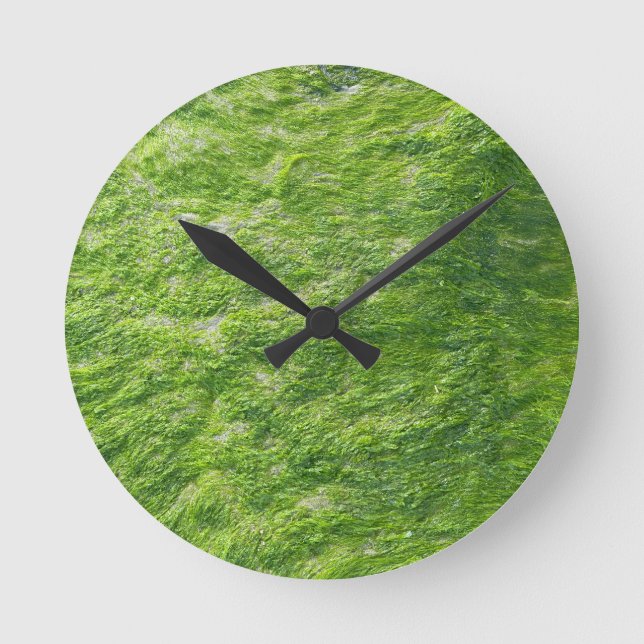 Reloj Redondo Mediano Sea Moss Green Nature Grass Beach Nautical (Anverso)