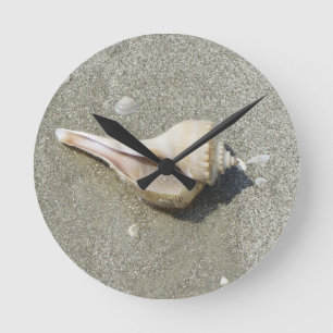 Reloj Redondo Mediano Seashell
