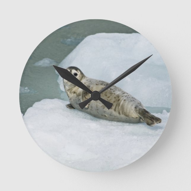 Reloj Redondo Mediano Sello de puerto limpio para la nieve (Anverso)
