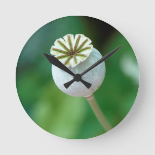 Reloj Redondo Mediano Semilla de Cabeza de Flor de Amapola, Cabo Occiden