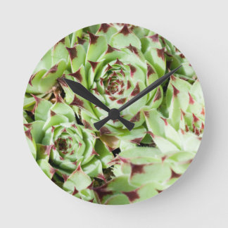 Reloj Redondo Mediano Sempervivum