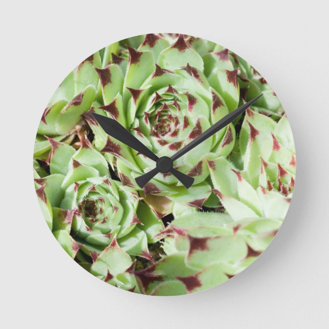 Reloj Redondo Mediano Sempervivum (Anverso)