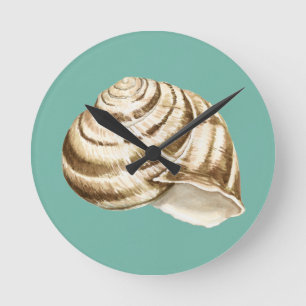 Reloj Redondo Mediano Sepia Shell rayado en trullo