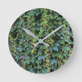 Reloj Redondo Mediano Serene Green Ivy Wall Colgando Vinas Plantas