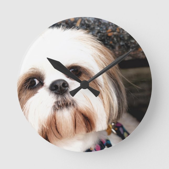 Reloj Redondo Mediano Shih Tzu (Anverso)