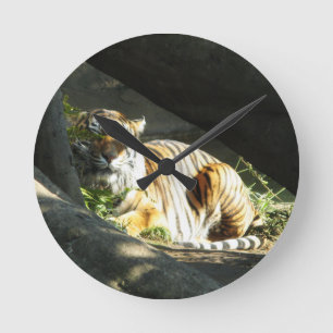 Reloj Redondo Mediano Siesta de Tigre