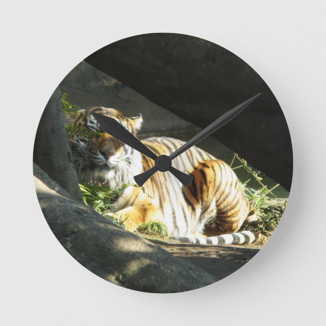 Reloj Redondo Mediano Siesta de Tigre (Anverso)