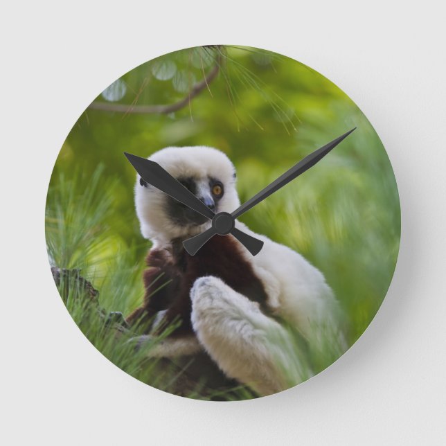 Reloj Redondo Mediano Sifaka de Coquerel en el bosque 2 (Anverso)