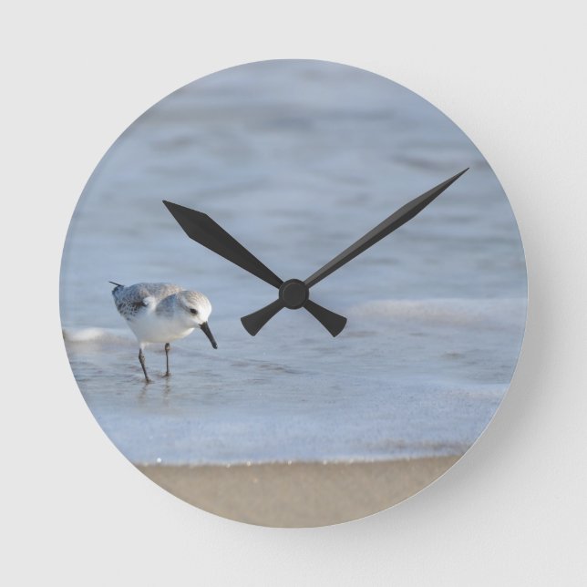 Reloj Redondo Mediano Single Sandpiper walking on beach  (Anverso)