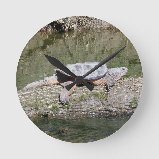 Reloj Redondo Mediano Snapping Turtle (Anverso)