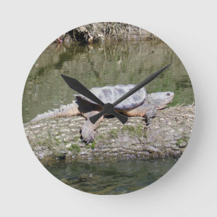 Reloj Redondo Mediano Snapping Turtle
