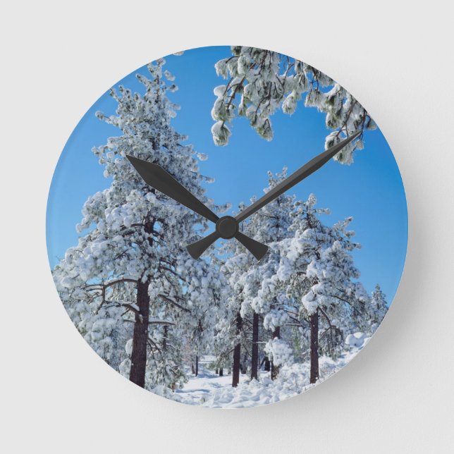 Reloj Redondo Mediano Snow-covered trees in the Laguna Mountains (Anverso)