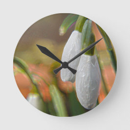 Reloj Redondo Mediano Snowdrop-Wall Clock