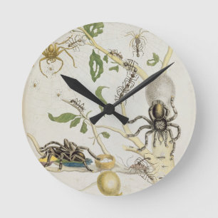 Reloj Redondo Mediano Spiders: Mygole, plate 18 from 'Over de Voorteelin