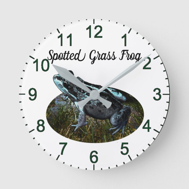 Reloj Redondo Mediano Spotted Grass Frog, Wall Clock (Anverso)