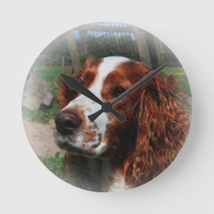Reloj Redondo Mediano Springer Spaniel Dog Art