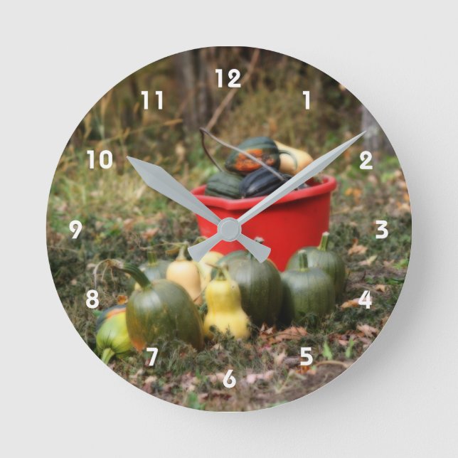 Reloj Redondo Mediano Squash Country Garden Harvest Orton  (Anverso)