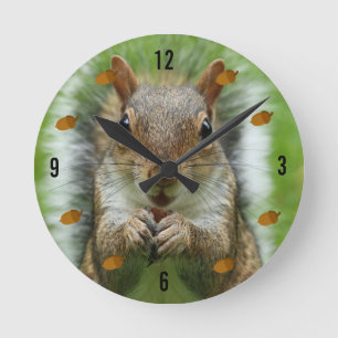 Reloj Redondo Mediano Squirrel Wall Clock