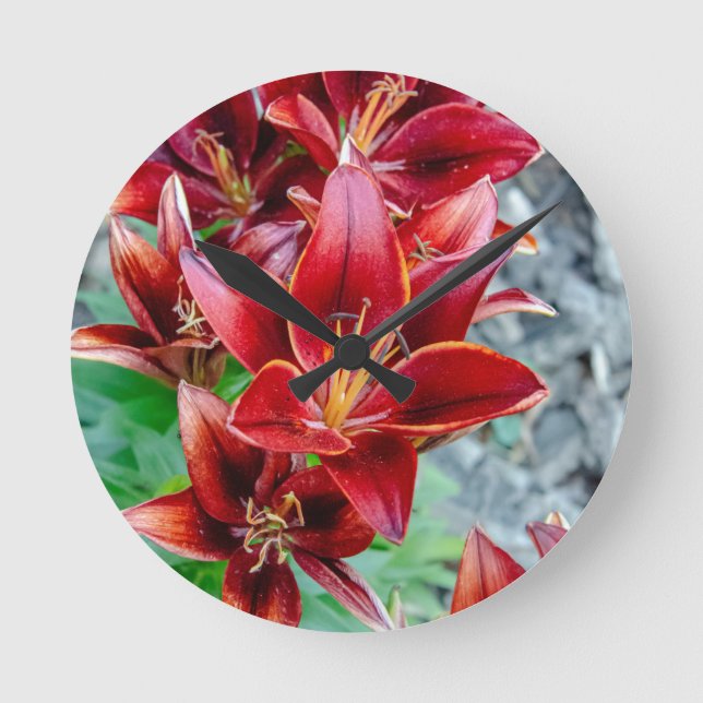 Reloj Redondo Mediano Stargazer Lily (Anverso)
