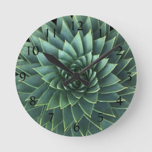 Reloj Redondo Mediano Succulent espiral de Polyphylla del áloe