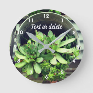 Reloj Redondo Mediano Suculentas Gallinas y Pollitos en Cubeta Personali