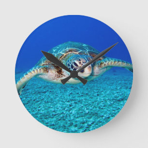 Reloj Redondo Mediano Swimming Sea Turtle