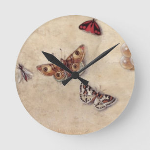 Reloj Redondo Mediano T31566 A Study of Various Insects, Fruit and Anima