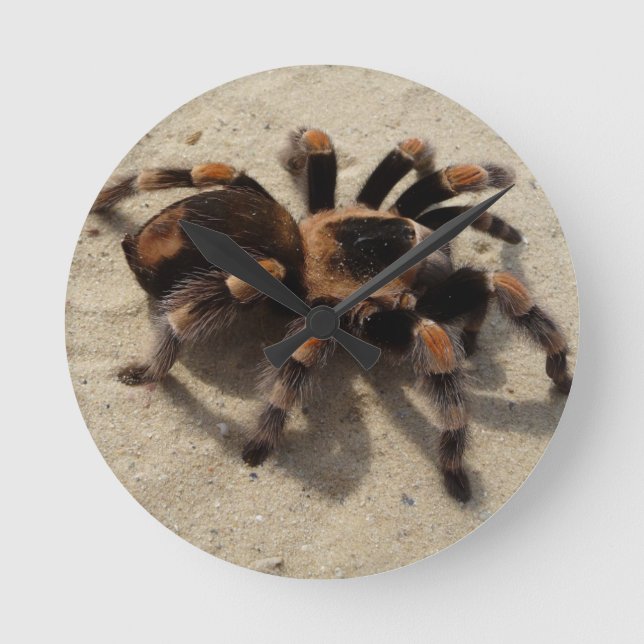 Reloj Redondo Mediano Tarantula brachypelma rodilla roja venenosa (Anverso)