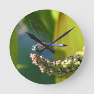 Reloj Redondo Mediano Teal eyed Dragonfly