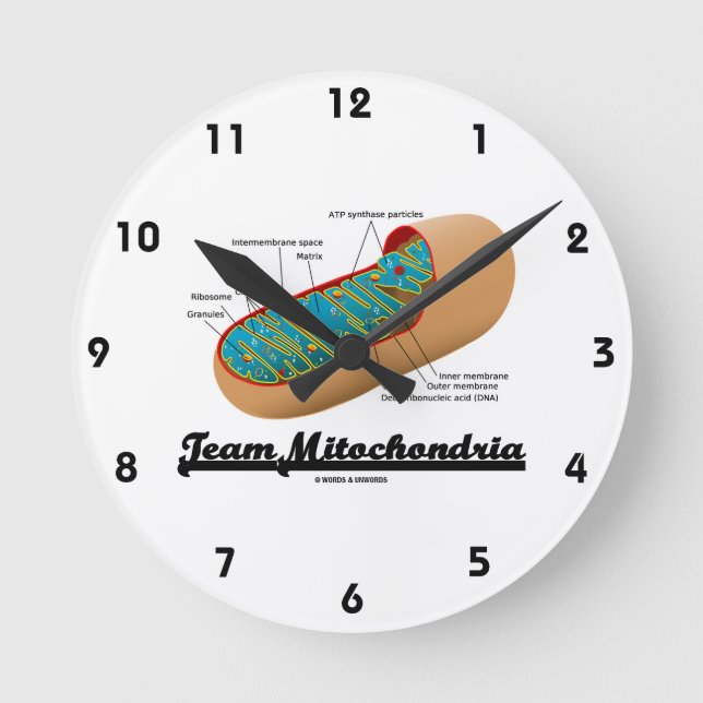 Reloj Redondo Mediano Team Mitochondria (Mitochondrion Humor) (Anverso)