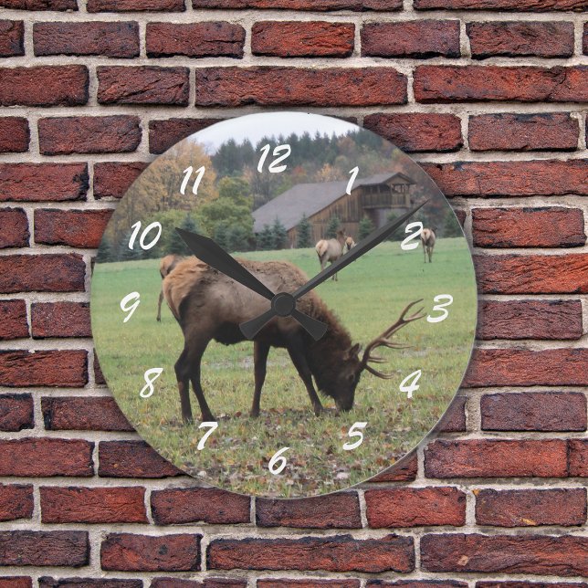 Reloj Redondo Mediano Tejido de fotos de machos de la encía Otoño (Photograph of male elk grazing in grassy field by barn in fall on a wall clock.)