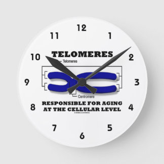 Reloj Redondo Mediano Telomeres Responsables Del Envejecimiento A Nivel