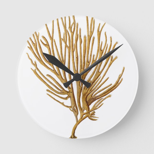 Reloj Redondo Mediano Temático náutico costero de la playa de no. 12 del (Anverso)