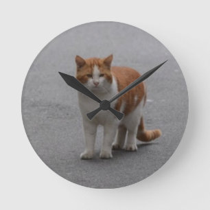Reloj Redondo Mediano Thomas Ginger And White Cat
