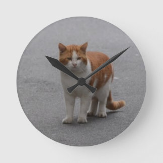 Reloj Redondo Mediano Thomas Ginger And White Cat