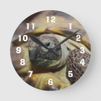 Reloj Redondo Mediano Tibbs