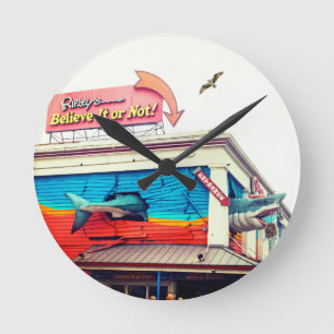 Reloj Redondo Mediano Tiburón 