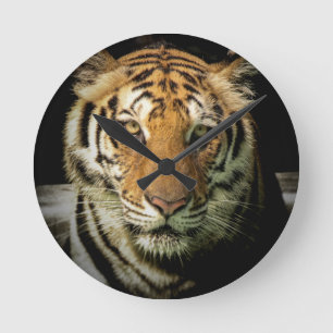 Reloj Redondo Mediano tigre