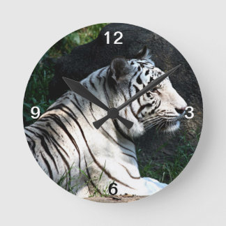 Reloj Redondo Mediano Tigre blanco