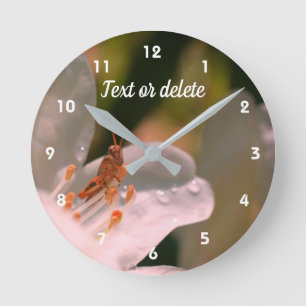 Reloj Redondo Mediano Tiny Grasshopper On Azalea Flower Personalized  
