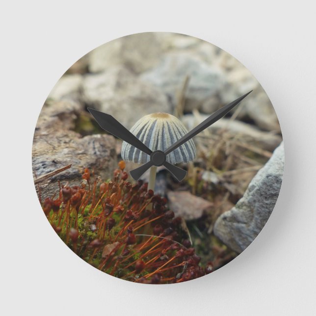 Reloj Redondo Mediano Tiny Toadstool (Anverso)