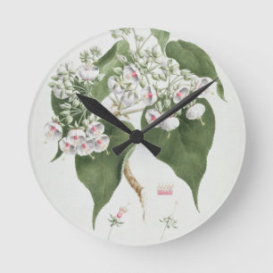 Reloj Redondo Mediano Torrida de Walkuffa No.5 Dombeya (w/c sobre el