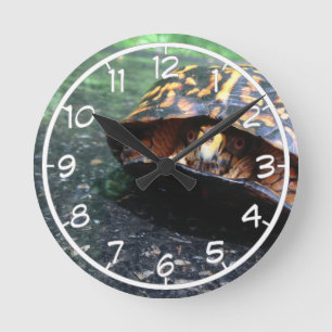 Reloj Redondo Mediano Tortuga de caja